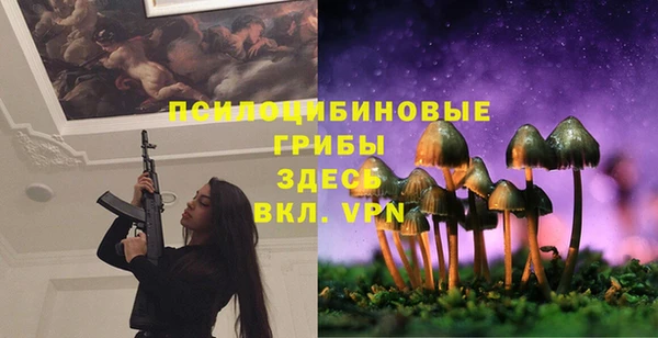 спайс Балабаново