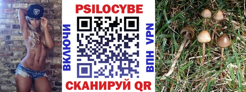 Псилоцибиновые грибы ЛСД купить Новое Девяткино